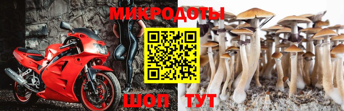 Псилоцибиновые грибы Magic Shrooms  Вход с VPN  Шебекино  Псилоцибиновые грибы мухоморы 